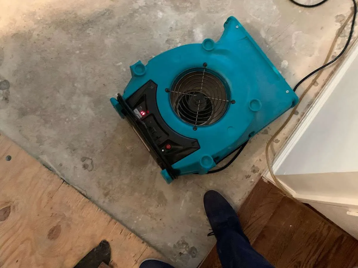 Air mover drying subfloor during Commercial Water Damage Restoration in New Port Richey East